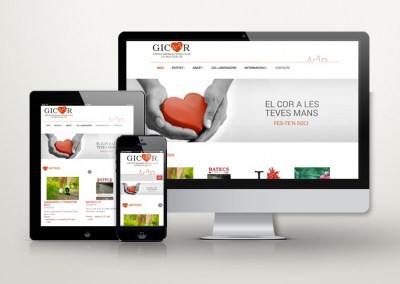 gicor_responsive